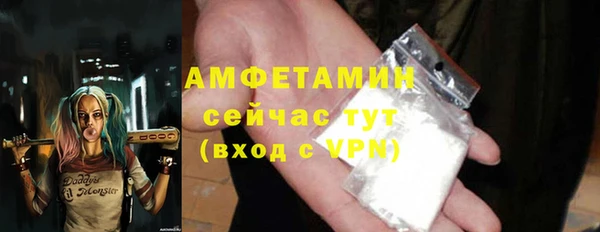 ECSTASY Богданович