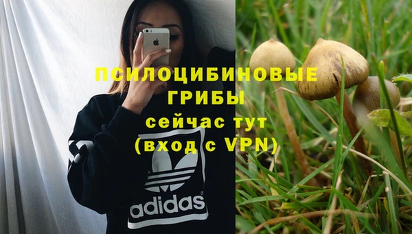 MDMA Михайлов