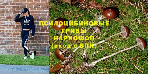 каннабис Надым