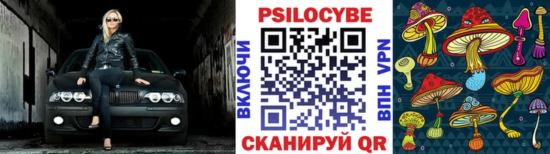купить наркоту  Мытищи  OMG ССЫЛКА  Галлюциногенные грибы Cubensis 
