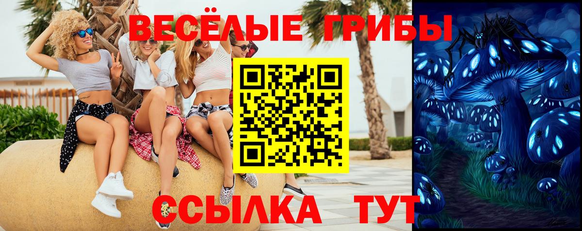 Псилоцибиновые грибы мицелий Мытищи