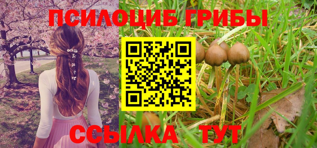 Метадон Мытищи