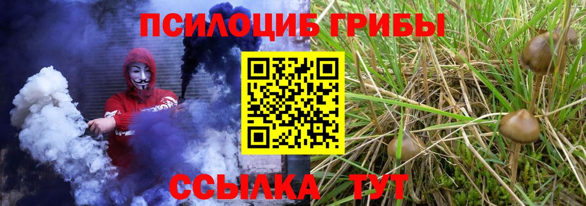 Галлюциногенные грибы GOLDEN TEACHER Мытищи