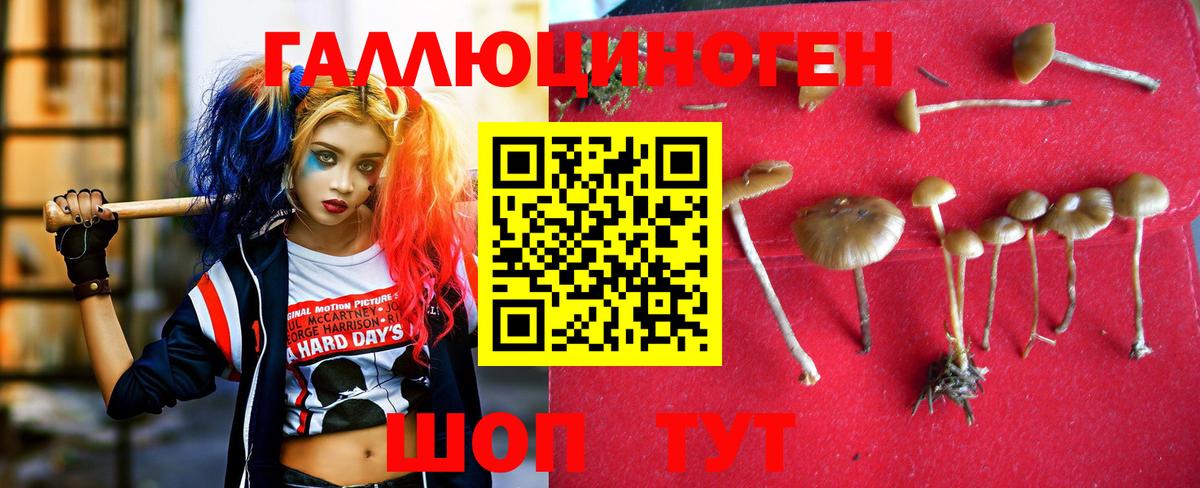  КОКАИН Мытищи