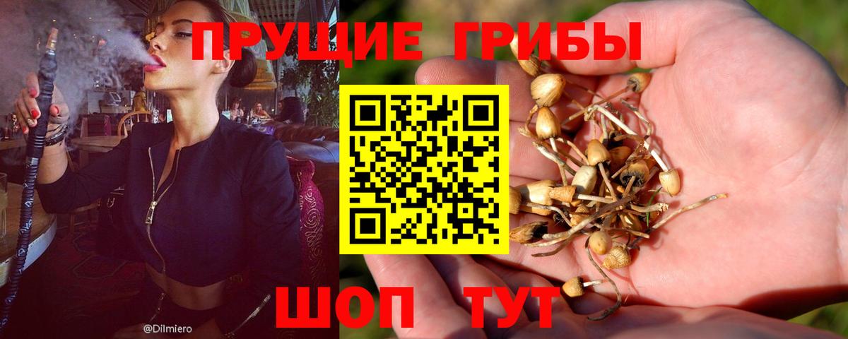 Мытищи  Галлюциногенные грибы GOLDEN TEACHER  Псилоцибиновые грибы мицелий  Вход с VPN 
